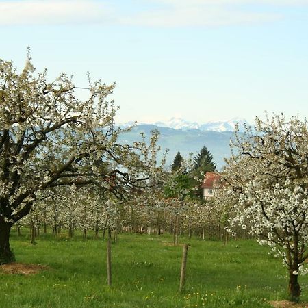 Villa Linke Am Bodensee Nonnenhorn Εξωτερικό φωτογραφία