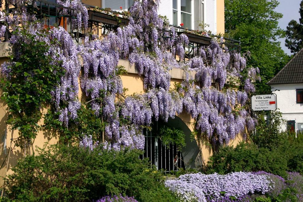 Villa Linke Am Bodensee Nonnenhorn Εξωτερικό φωτογραφία