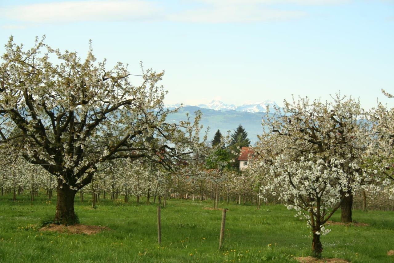 Villa Linke Am Bodensee Nonnenhorn Εξωτερικό φωτογραφία